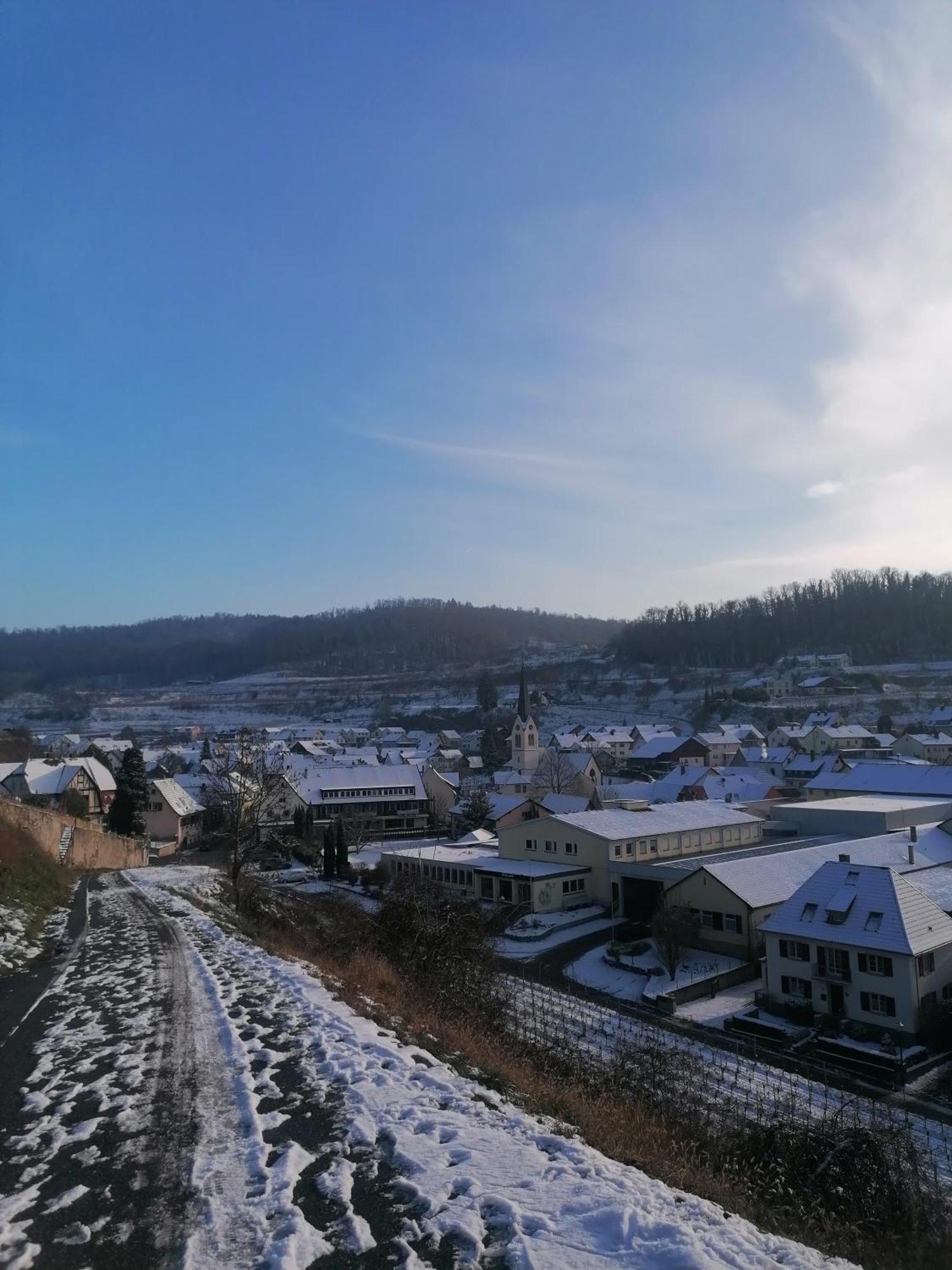 Hotel-Restaurant Rebstock Ihringen Kültér fotó